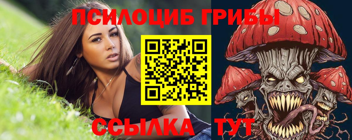 Псилоцибиновые грибы мицелий Урюпинск