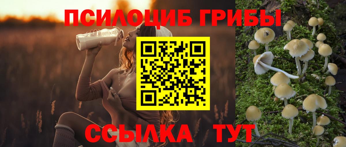 Урюпинск  Галлюциногенные грибы ЛСД  Вход с VPN 